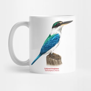 Collared kingfisher | Todiramphus chloris Mug